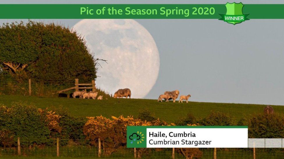 BBC - Pic of the Season - Spring 2020