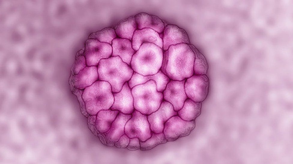 HPV as seen under a microsope