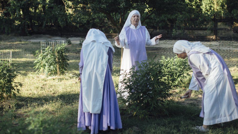 Nuns bless cannabis plants