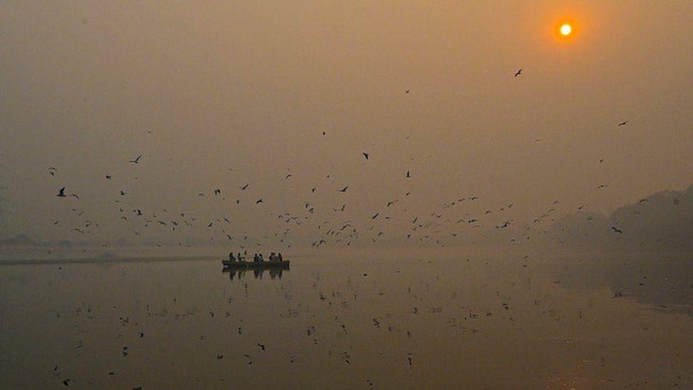 : A man sitting in a boat feeds seagulls on the Yamuna River in Heavy smog as Air pollution rises in Capital/NCR on November 2, 2023 in New Delhi, India