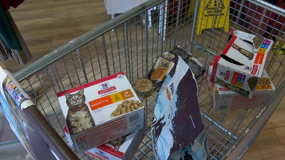 Cost of living Pet food banks to open in Oxfordshire BBC News