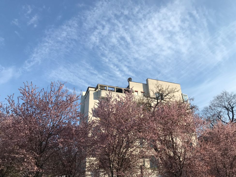 pogled iz izolacije