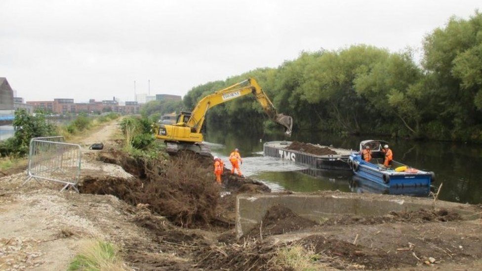 Leeds Flood Defence Scheme Mass Tree Planting Proposal Bbc News 6569