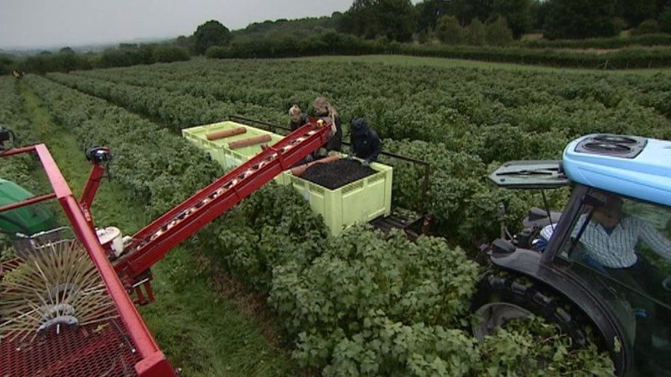 Farming in Herefordshire
