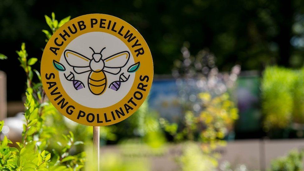National Botanic Garden of Wales Pollinator sign