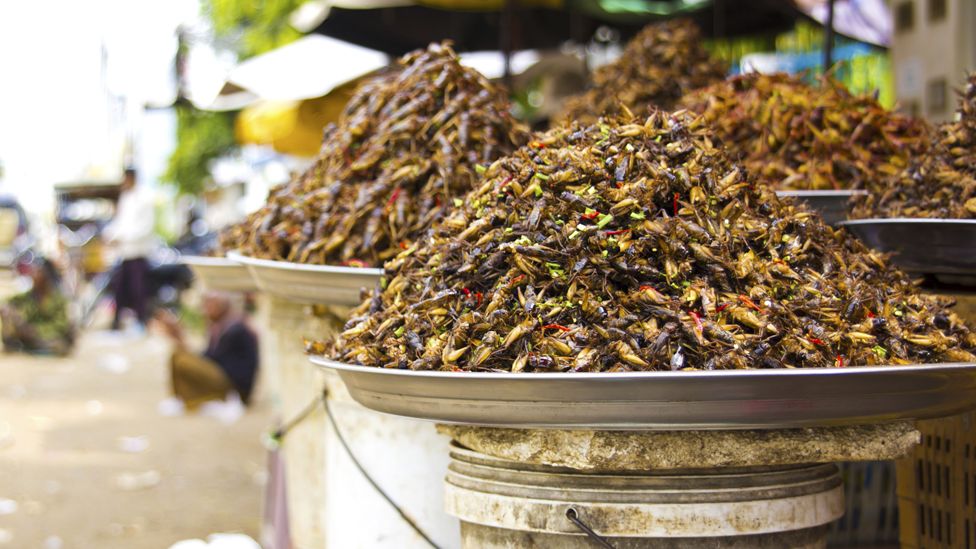 Plates of insects for sale in a Cambodian market