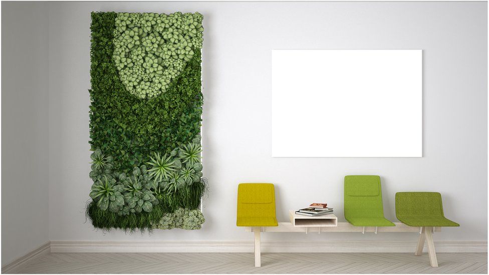 A "green wall" or "vertical garden"