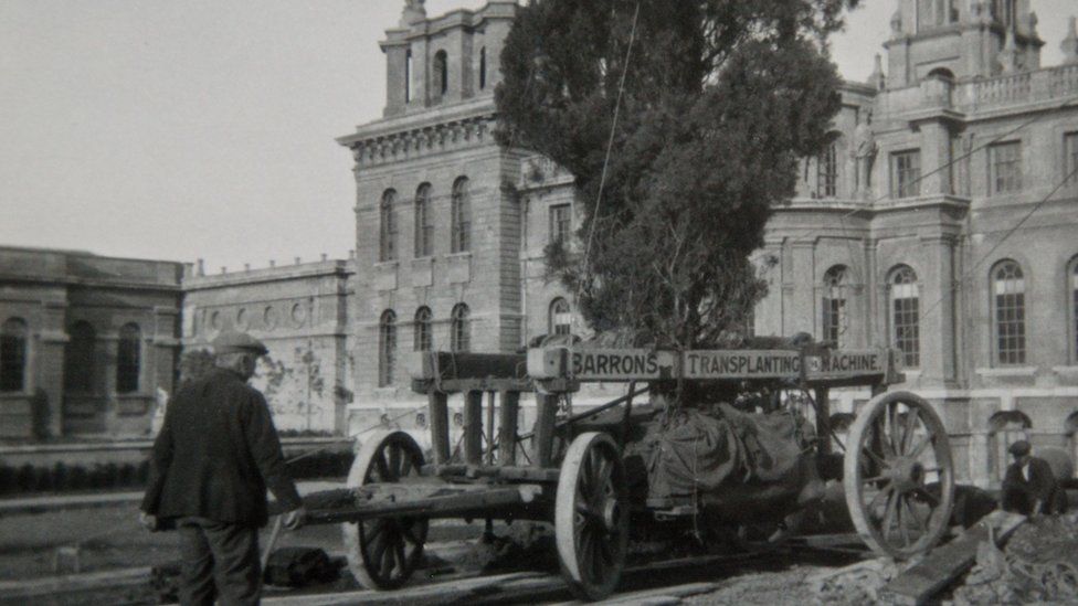 Blenheim Palace's Formal Gardens to get major makeover BBC News