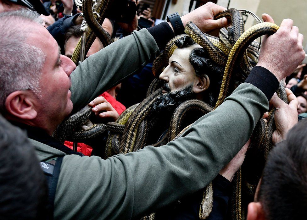 A statue of Saint Domenico covered with live snakes is carried by faithfuls during an annual procession in the streets of Cocullo