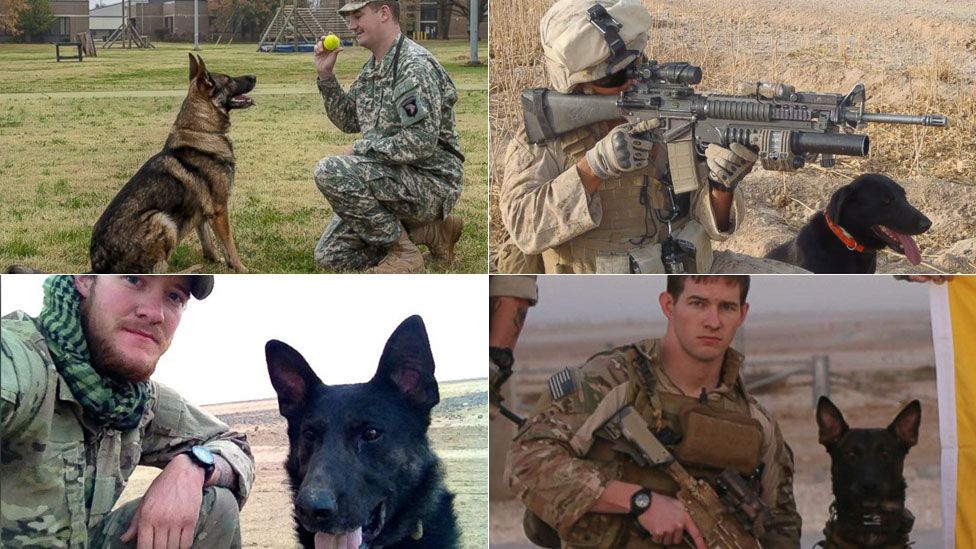 US Army Wants to Outfit Dogs With Tiny Cameras, Other Gear for Combat