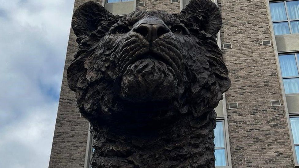 The bronze tiger head