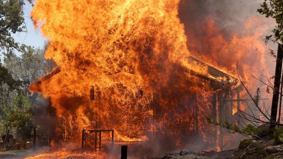 Oak Fire: Wildfire grows as firefighters battle punishing heat - BBC News