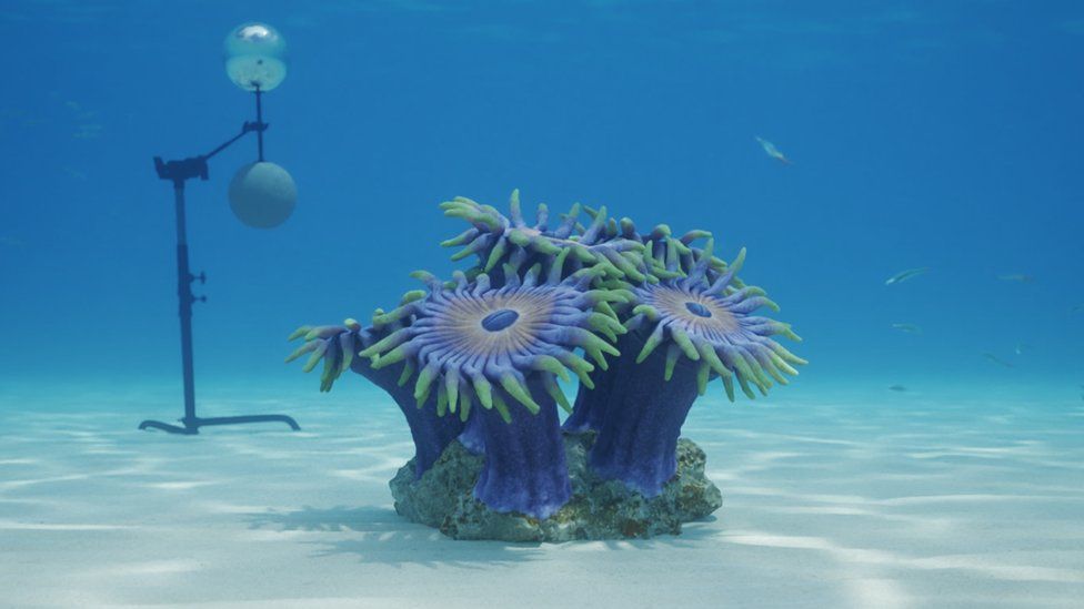 Computer-generated image shows a type of colourful coral developed by Weta