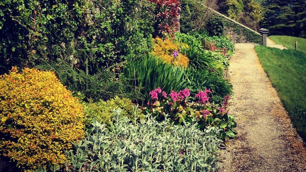 Snowdonia gardens back in bloom after storm devastation - BBC News