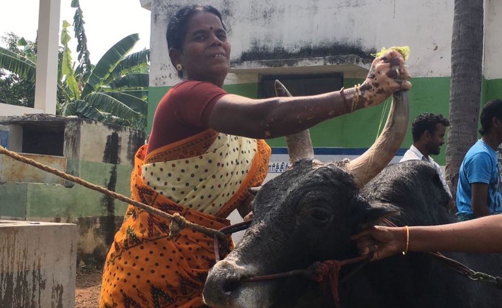 Selvarani with her bull Ramu