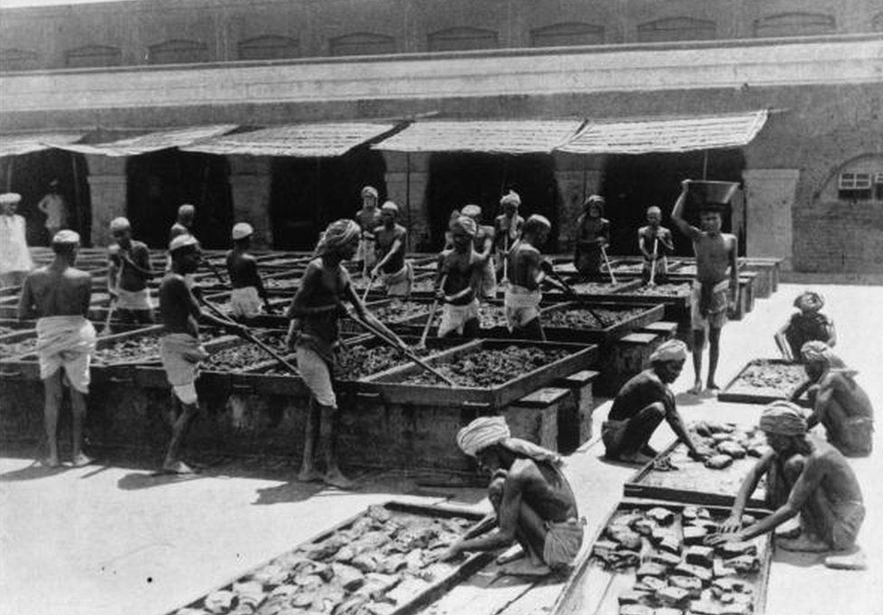 The manufacture of opium in India.