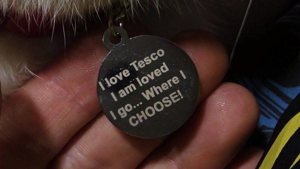 Photo of Frodo's collar tag, which reads "I love Tesco, I am loved, I go... Where I CHOOSE!"