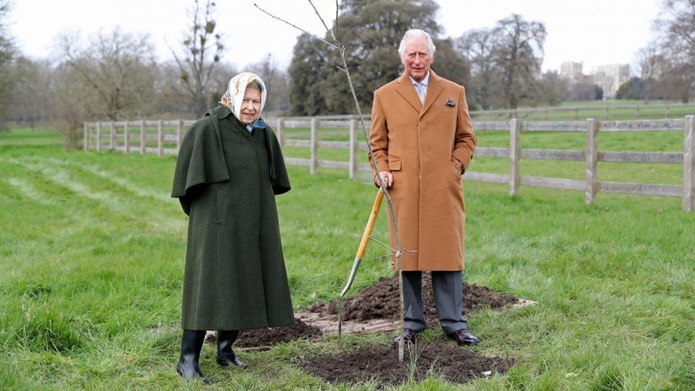 The Queen joined Prince Charles for the first Jubilee tree planting in the grounds of Windsor Castle