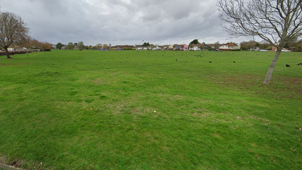 Buckhurst Field, Swindon