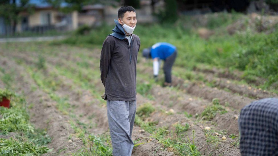 File photo of Park Tae Hong, a former recluse, in the fields