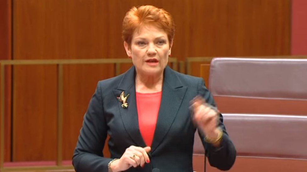 Austrailan politician Pauline Hanson makes a speech in the Australian parliament