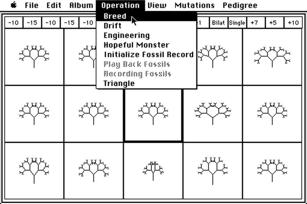 screen image from 1980s biomorph software