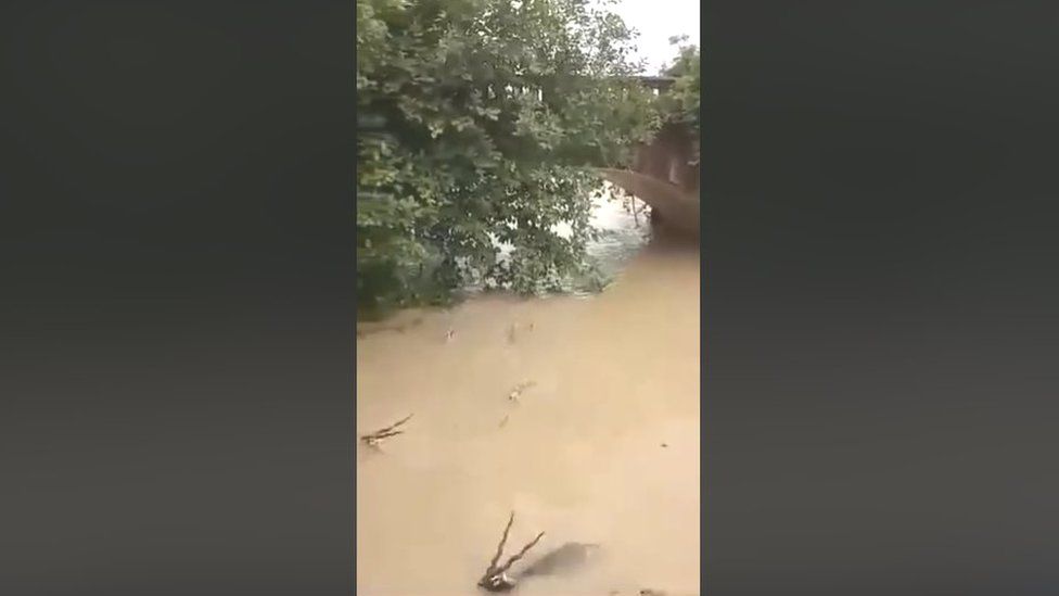 Deer being swept away by floodwater