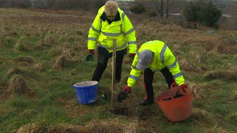 Volunteers have been planting fruit trees on scrubland in Blackwood, Caerphilly county