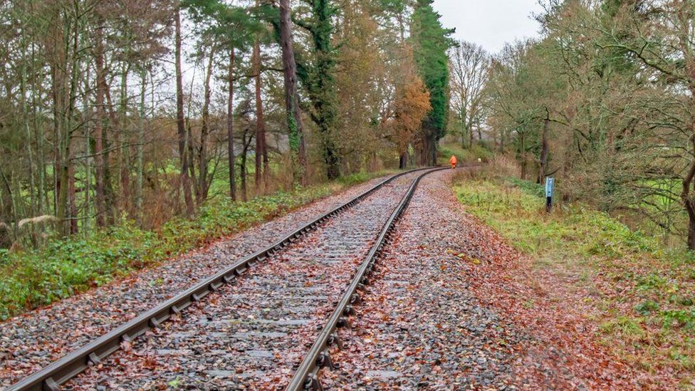 Leaves on railway line