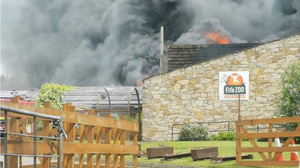 Firefighters tackle blaze at Fife Zoo BBC News