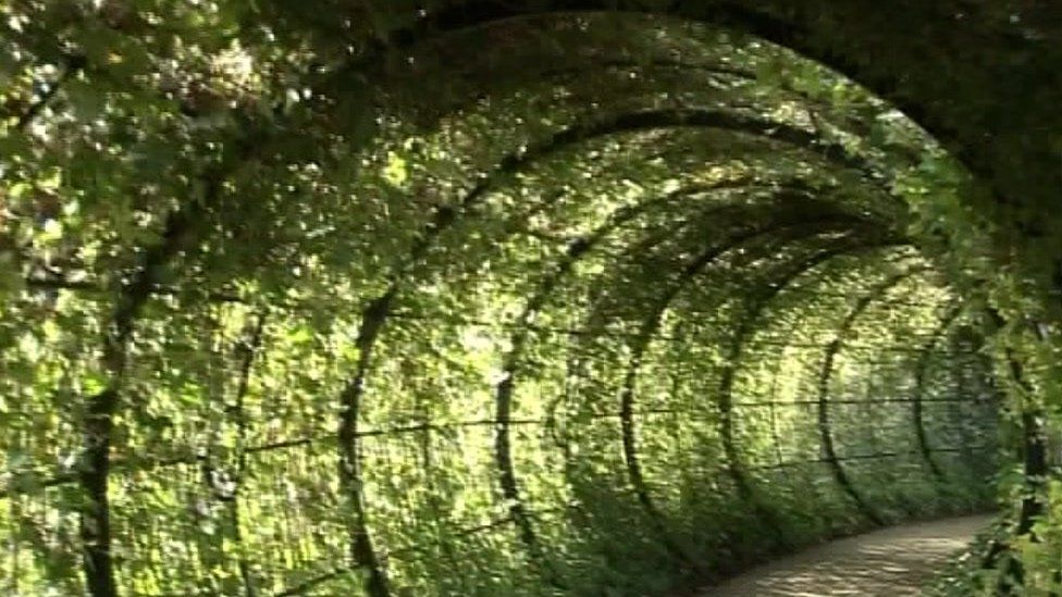 Tunnel in garden