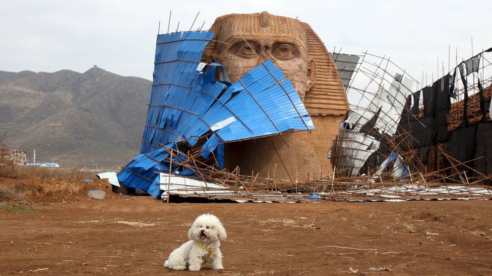 The head of a life-sized sphinx replica, partly covered by collapsing scaffolding and blue sheeting, on the outskirts of Shijiazhuang, Hebei province, China, 3 April 2016.