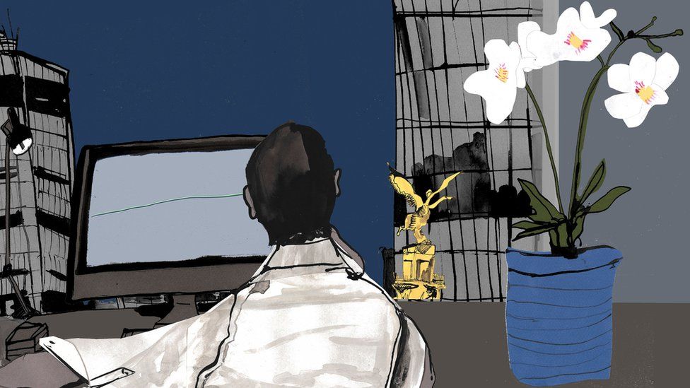 illustration of man working at desktop monitor and plant