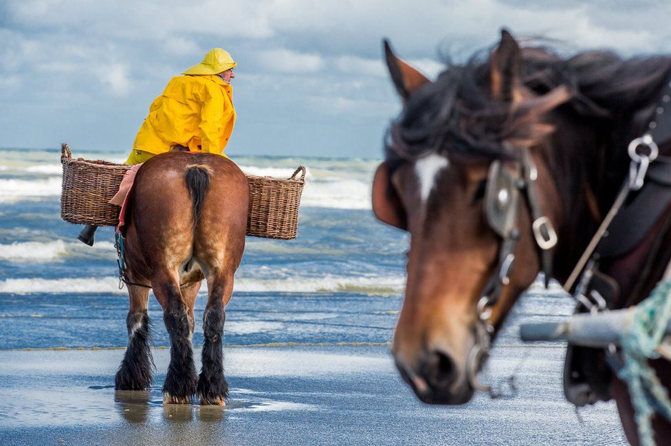 A fisherman with a yellow coat sits on his horse.