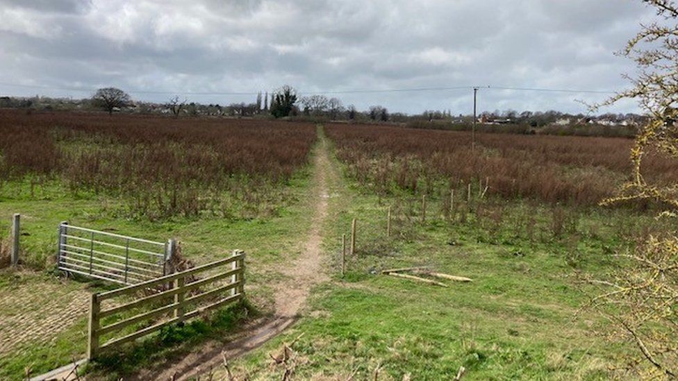 Footpath at Bartonsham Meadows