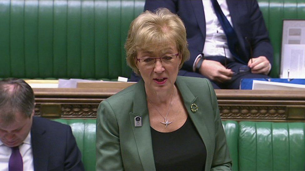 Andrea Leadsom speaking in the House of Commons
