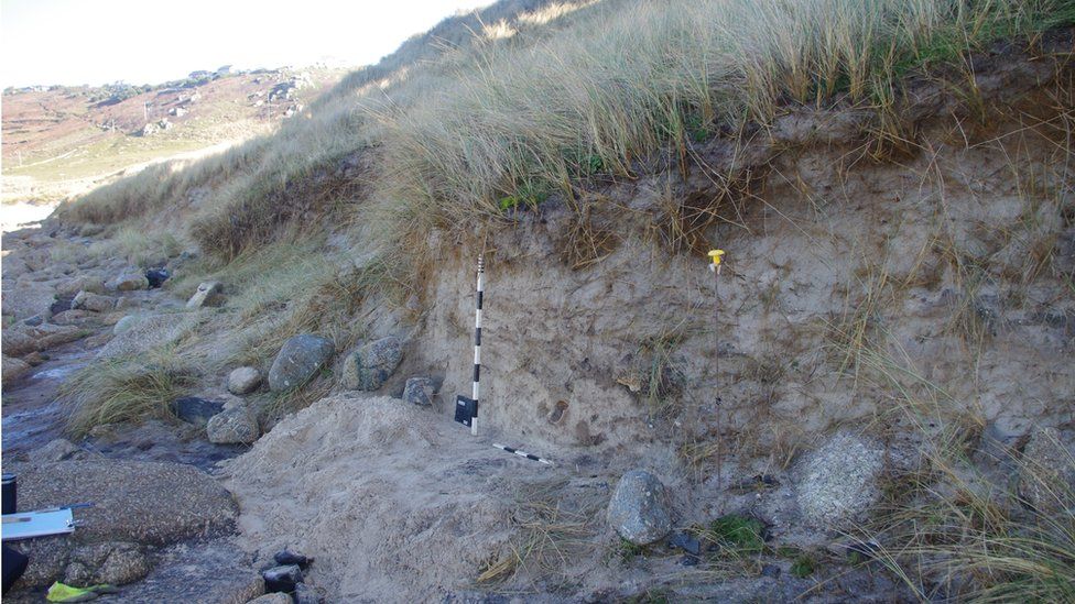 Bones in situ on Sennen beach