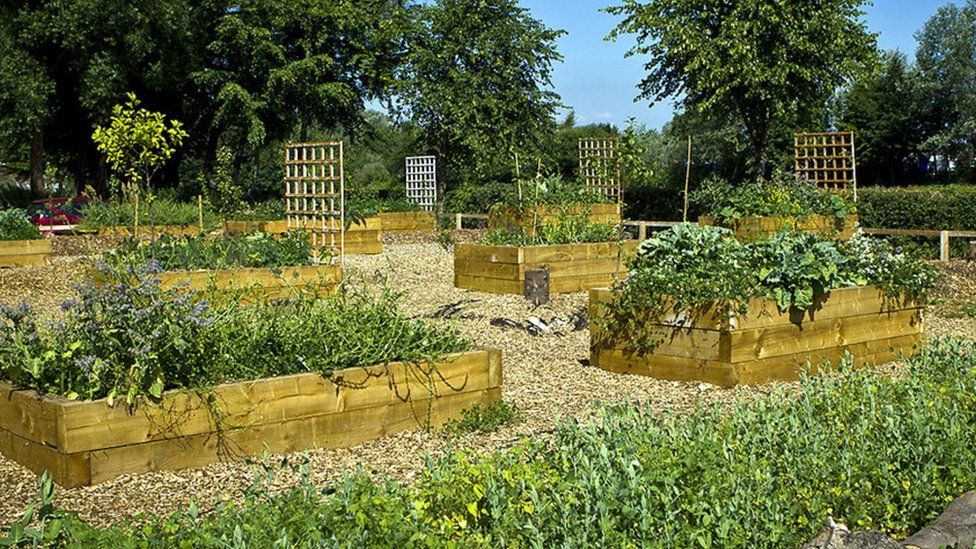 Community garden, Manchester (Image: BBC)