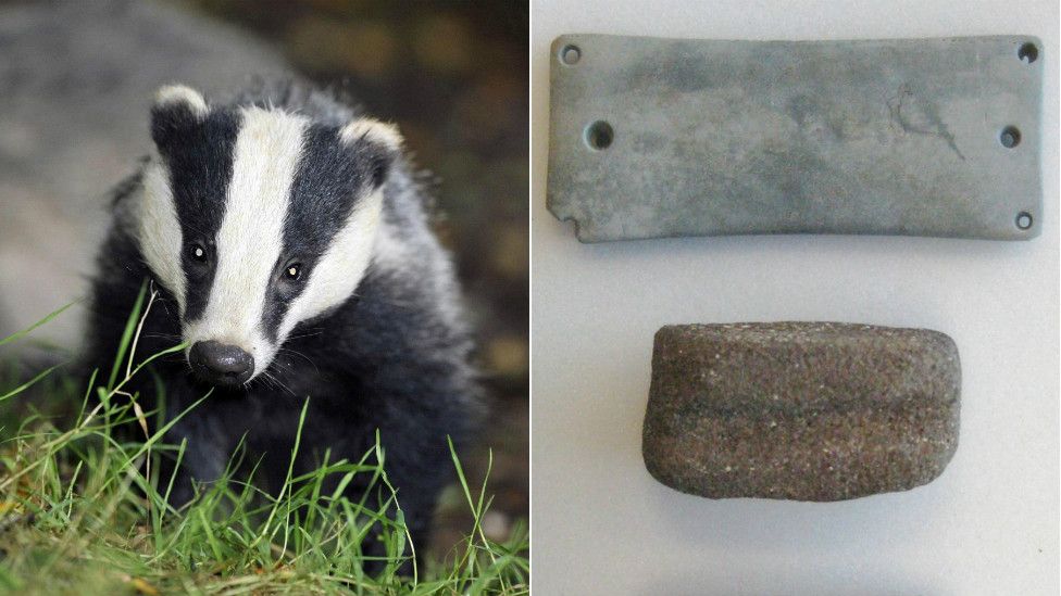 Composite image showing a badger and one of the finds