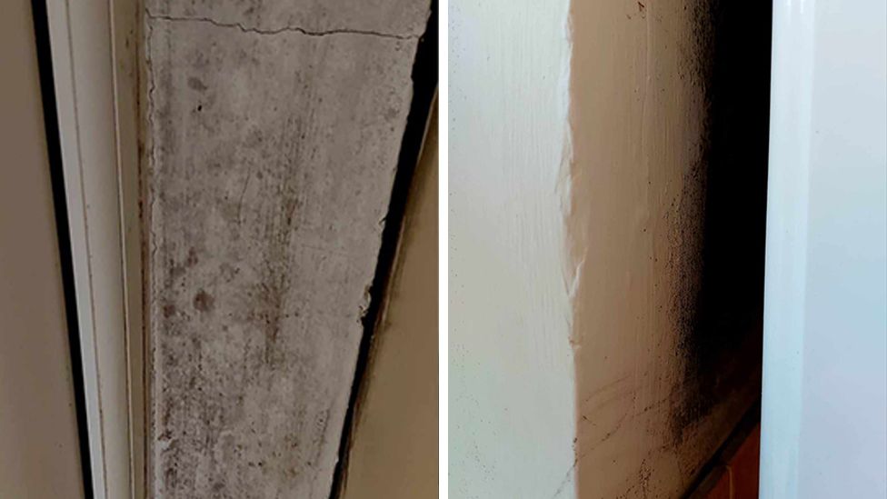 Mould stains on walls