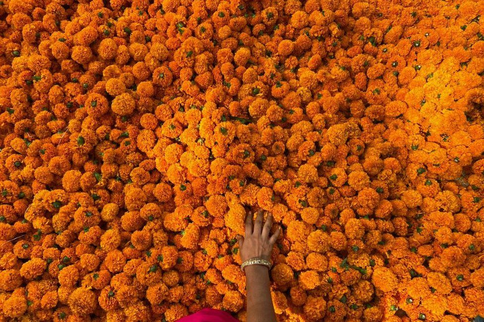 A customer looks at marigold flowers at a shop along a roadside in Mumbai on November 11, 2023,