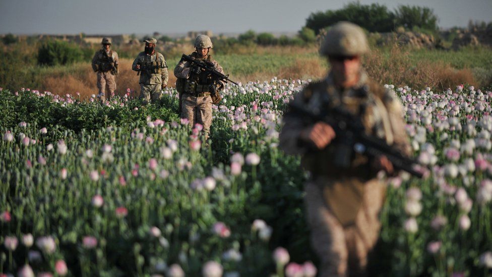 US Marines in a poppy field in Afghanistan