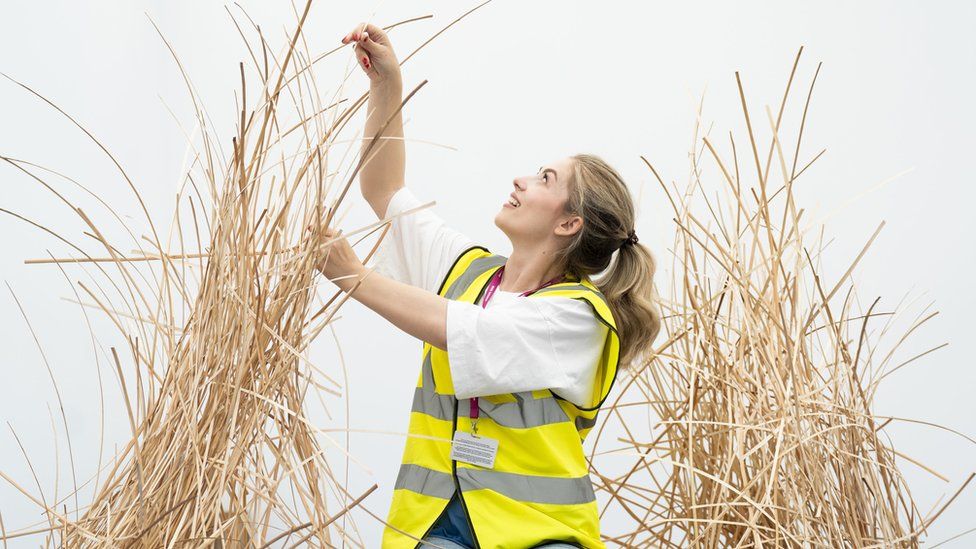 A young woman working on Chelsea Flower Show preparations