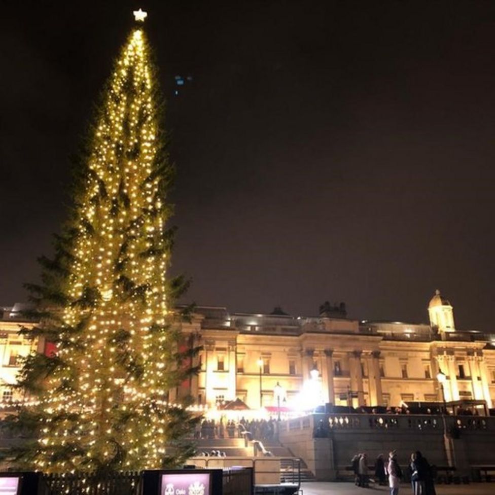 Trafalgar Square Christmas Tree lit up in festive ceremony BBC News
