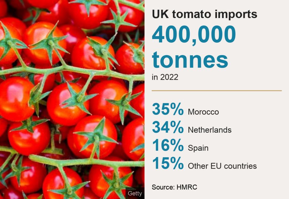 Tomato shortage How far is Brexit to blame? BBC News