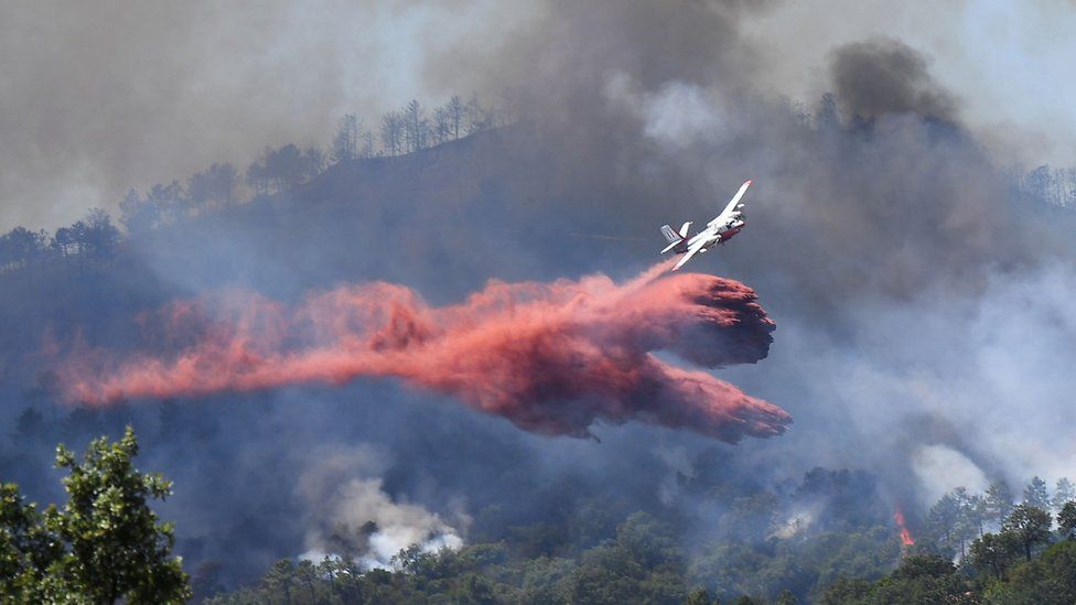 A fire fighting Canadair aircraft drops water over a fire near Bormes-les-Mimosas, southeastern France, on July 26, 201