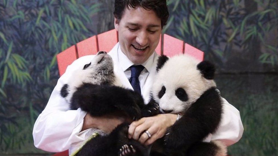 Justin Trudeau with two pandas at Toronto Zoo