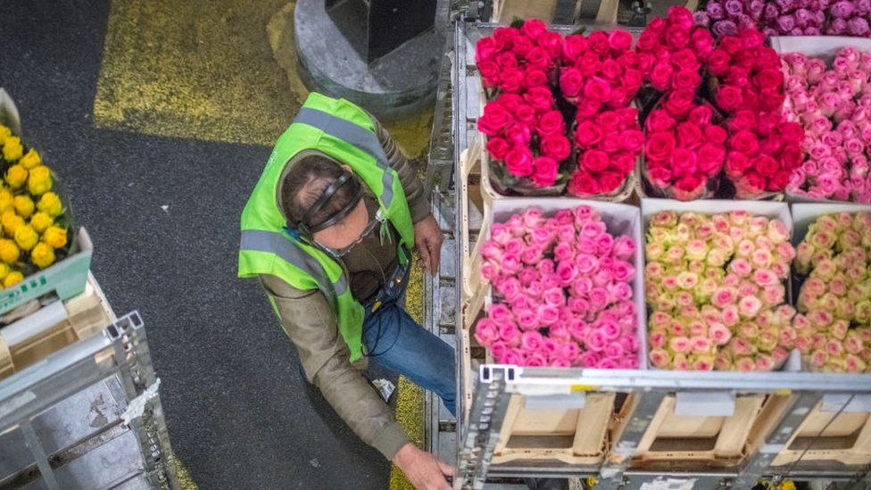 Man working ion a flower warehouse