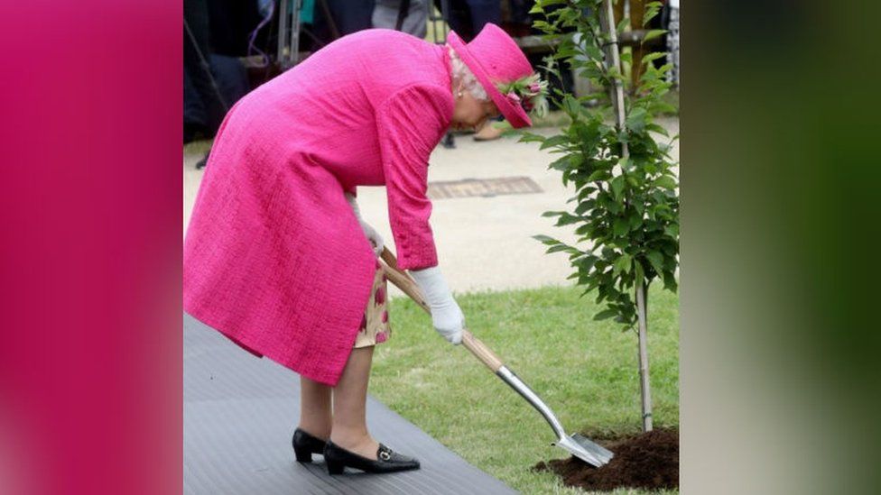 The Queen planting a tree