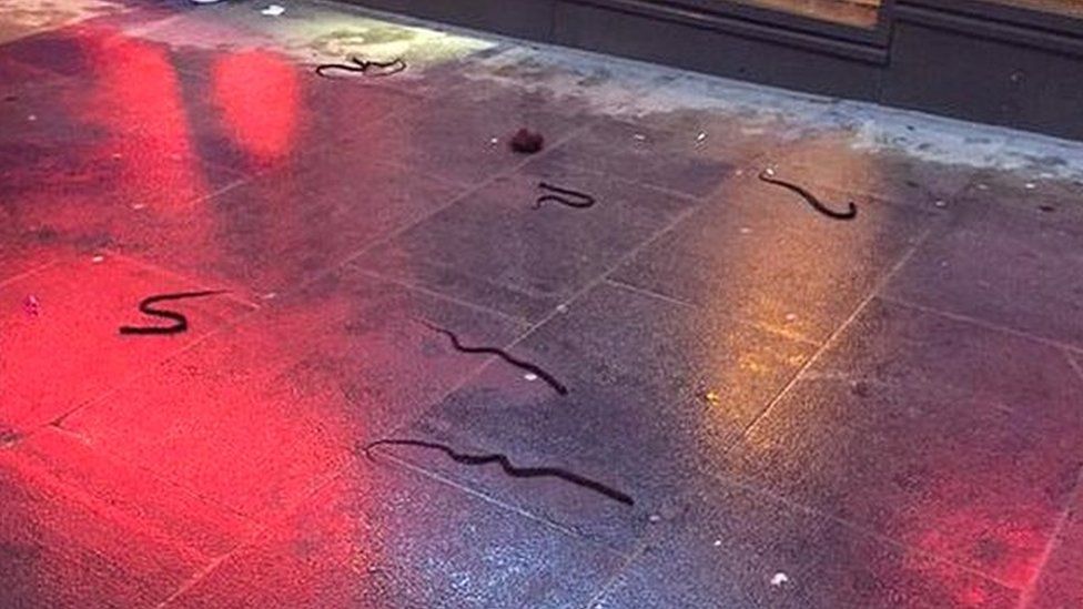 Pieces of weave on the street after the fight
